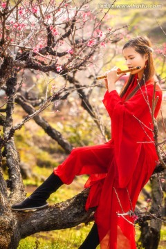 红衣美女在桃花树间吹笛子