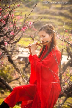 红衣美女在桃花树间吹笛子