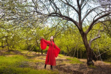 红衣美女在三华李树下起舞