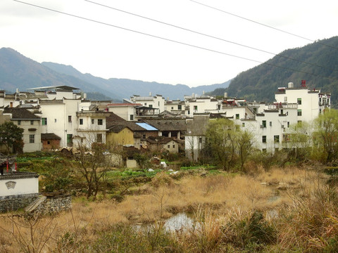 田园人家