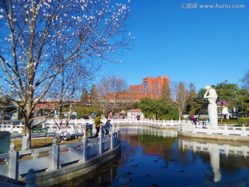 春天城市公园的风景