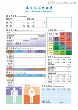 体成分分析报告