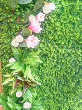 植被墙面绿植墙壁饰 植物墙垂直