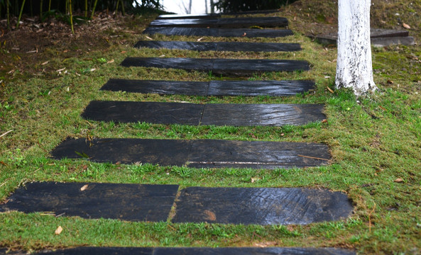 雨中小路