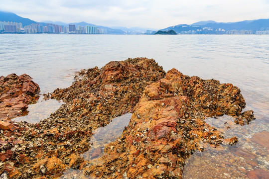 香港世界地质公园