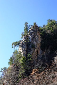 秦岭秘境万华山 高格