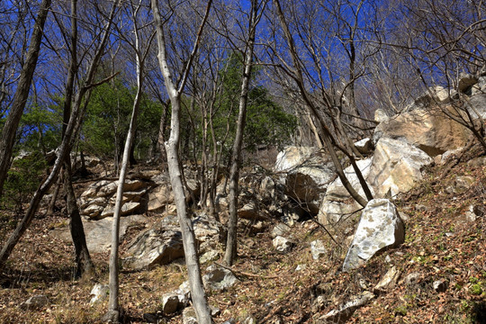 秦岭秘境万华山 高格