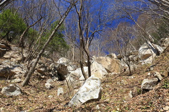 秦岭秘境万华山 高格