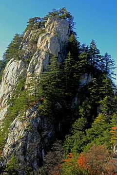 秦岭万华山 高格