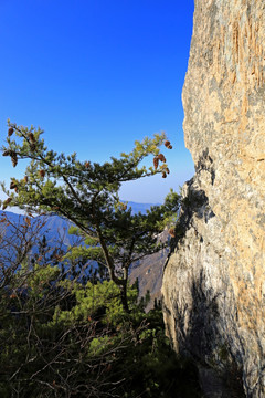 秦岭万华山 高格