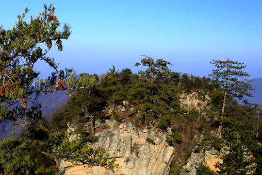 秦岭万华山 高格