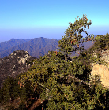 秦岭万华山 高格