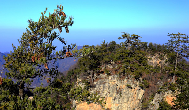 秦岭万华山 高格