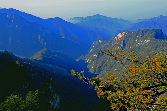 秦岭万华山 高格