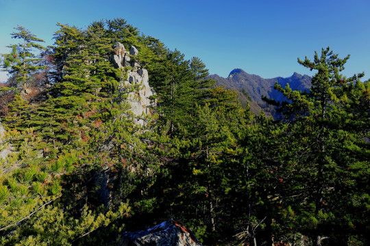 秦岭万华山 高格