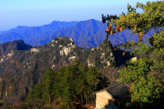 秦岭万华山 高格