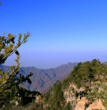 秦岭万华山 高格