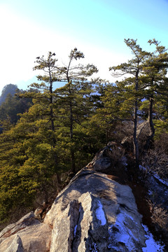 秦岭万华山 高格