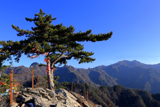 秦岭万华山 高格