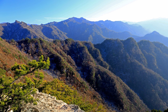 秦岭万华山 高格