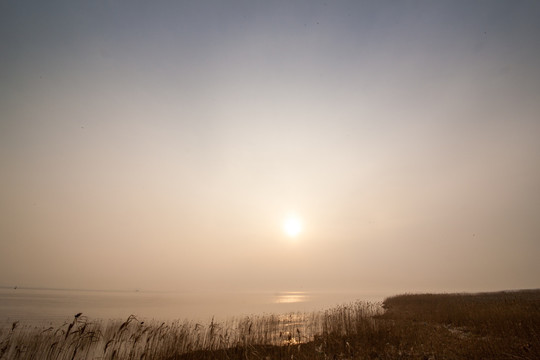 西沙湿地