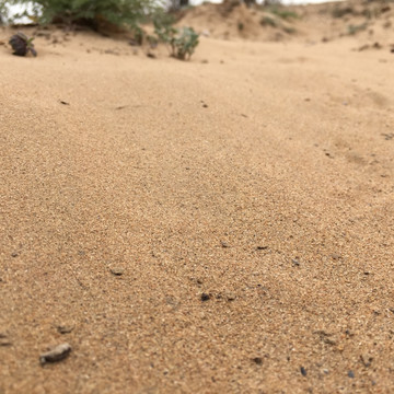沙漠化细沙