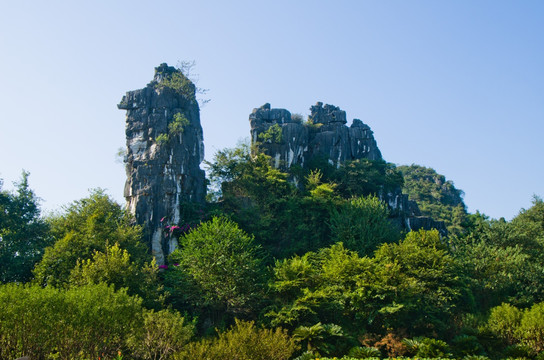 骆驼山