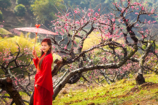 广东翁源李洞桃花赏花