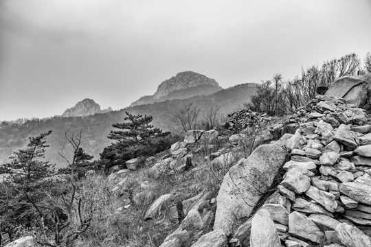 蒙山风光