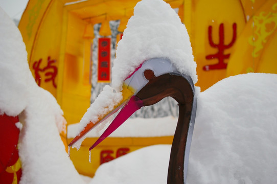 大雪