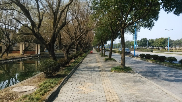 人行道