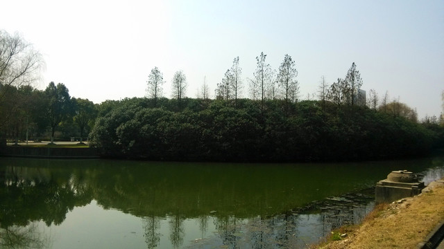 湖畔风光