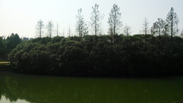 湖边风景