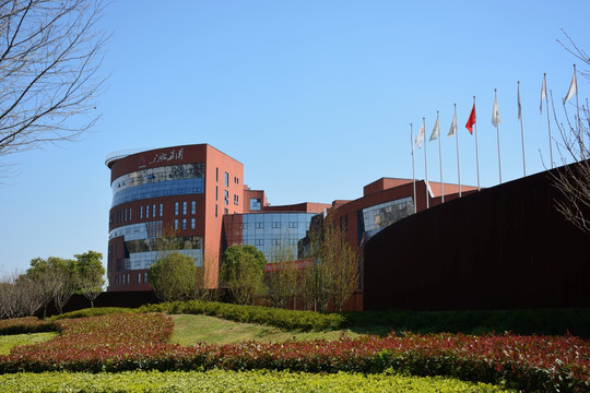 南京三胞集团大楼