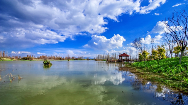 湿地 海东湿地