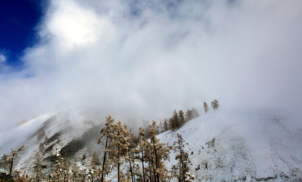 新疆喀纳斯雪景 高格