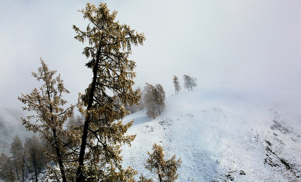 新疆喀纳斯雪景 高格