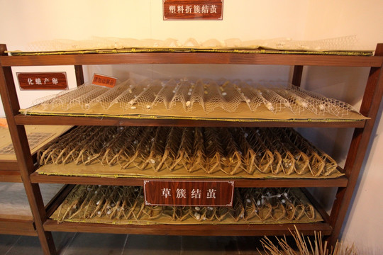 丝绸 丝绸织造厂 中国丝绸 丝