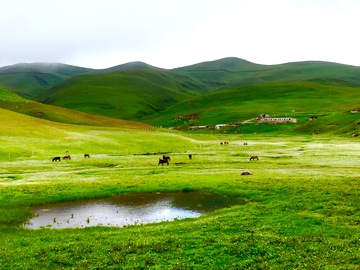 高山牧场 