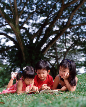 趴在草坪上看书的三个孩子