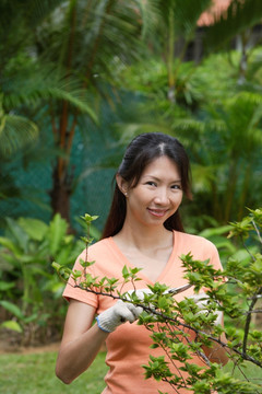 花园里的女人修剪植物