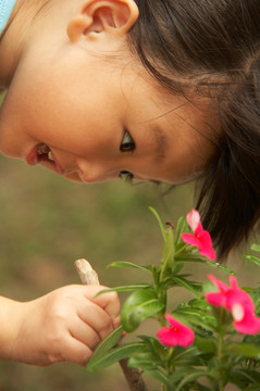 女孩看花