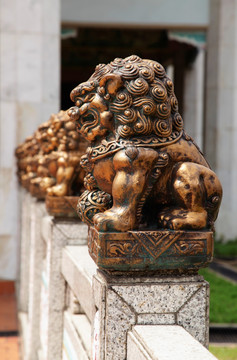 庙前青铜狮子排