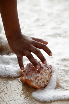 在沙地上捡贝壳的手的特写