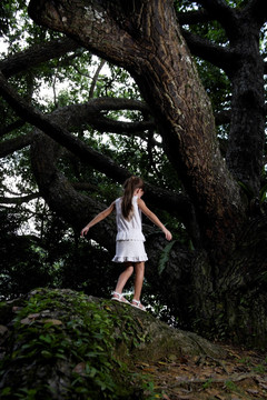 少女在巨树下行走