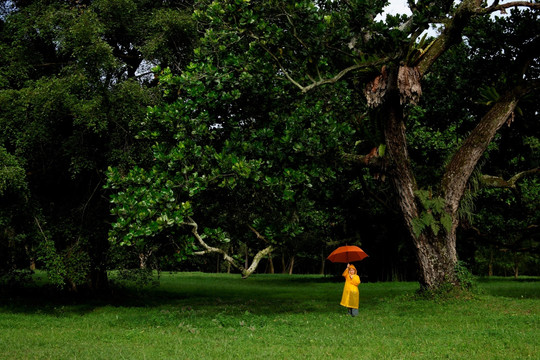 抱着橙色雨伞的小男孩