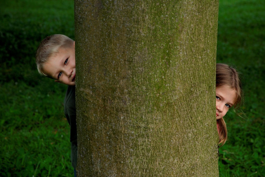 孩子们从树干后面望出去