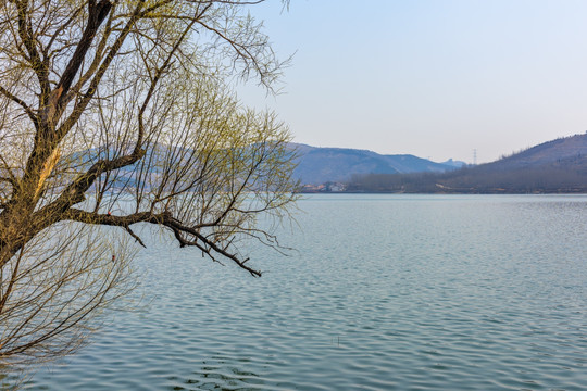 五阳湖