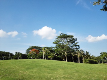 自然风光 深圳湾公园