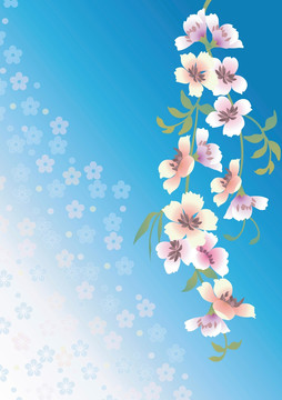 花型图案